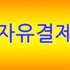 자유결제 일백만원(1,000,000원)